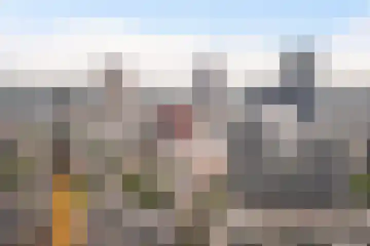 Baan 56 N Rotterdam thumbnail 33