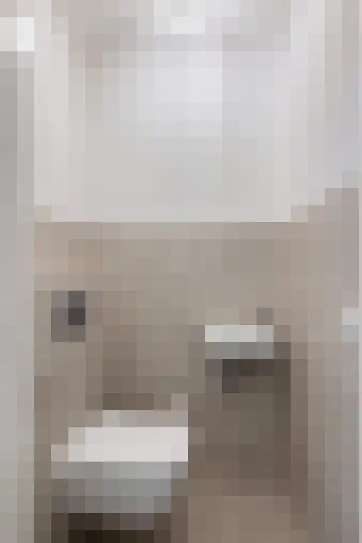 Baan 56 N Rotterdam thumbnail 7