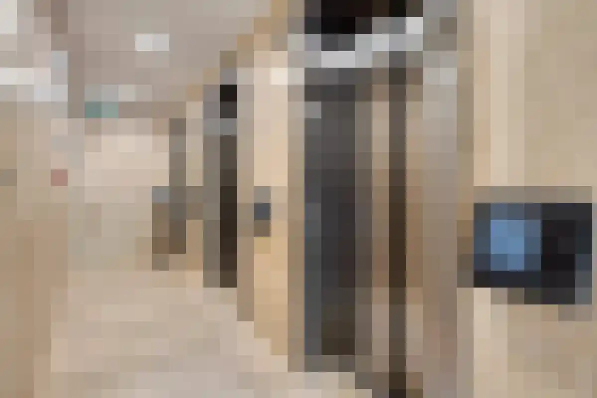 Baan 56 Rotterdam thumbnail 6
