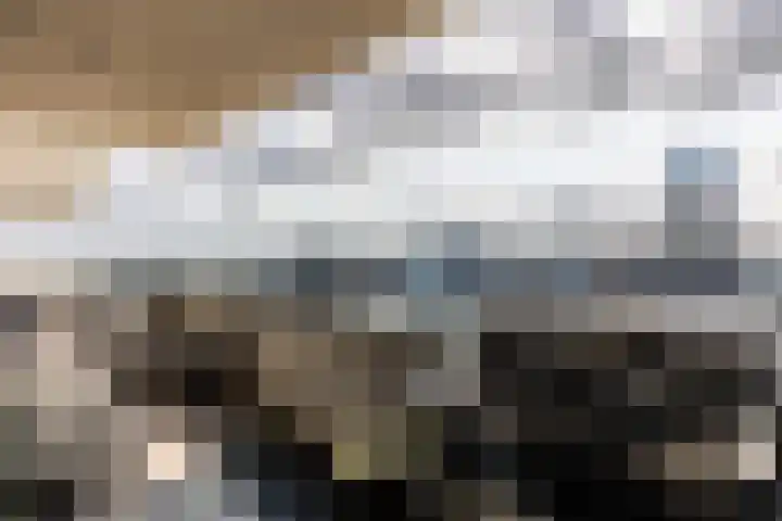Baan 56 Y Rotterdam thumbnail 18
