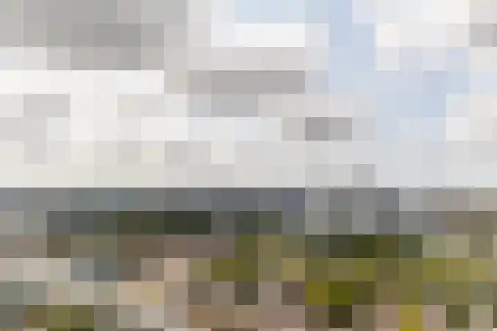 Baan 56 Y Rotterdam thumbnail 21