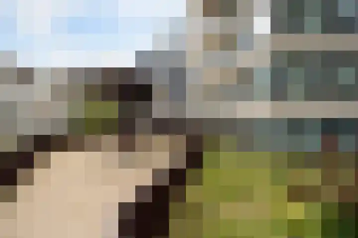 Baan 56 Y Rotterdam thumbnail 31