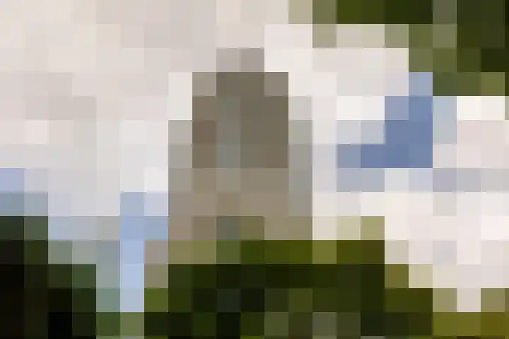 Baan 56 Y Rotterdam thumbnail 34