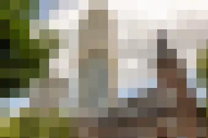 Baan 56 Y Rotterdam thumbnail 35