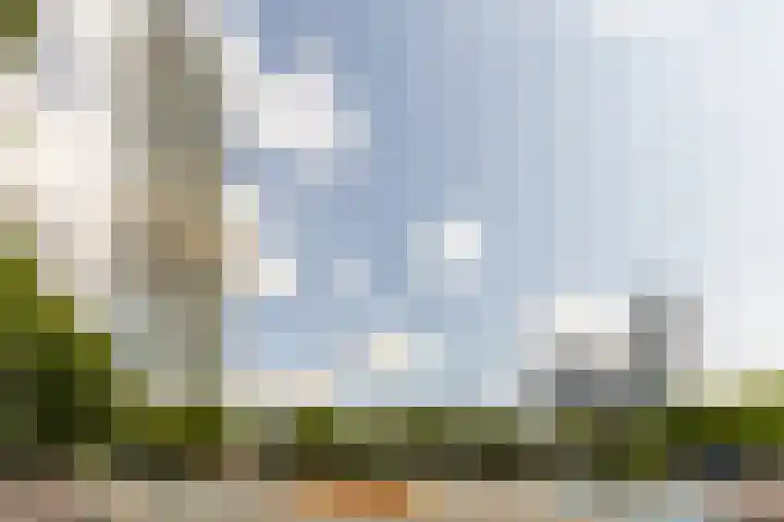 Baan 56 Y Rotterdam thumbnail 4