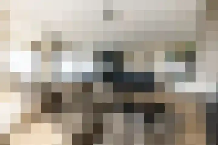 Baan 56 Y Rotterdam thumbnail 9