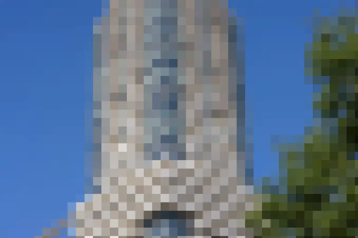 Baan 56 Z Rotterdam thumbnail 53