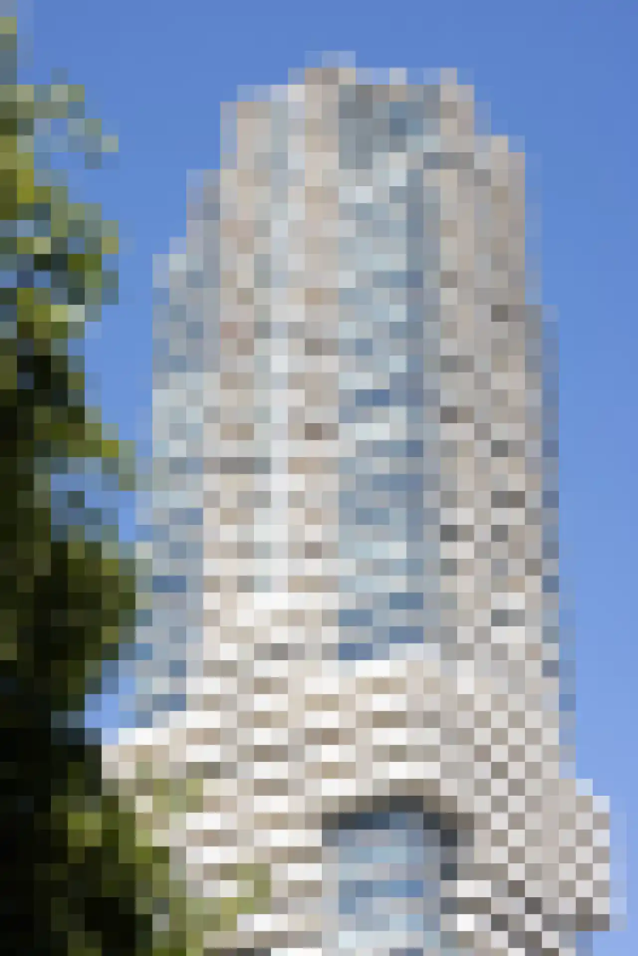 Baan 56 Z Rotterdam thumbnail 6