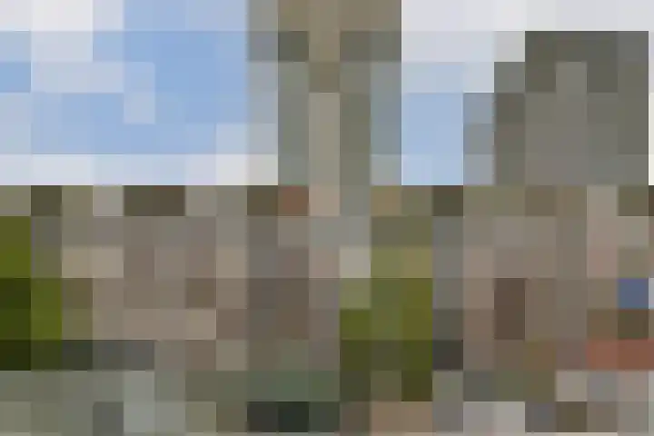 Baan 58 L Rotterdam thumbnail 19