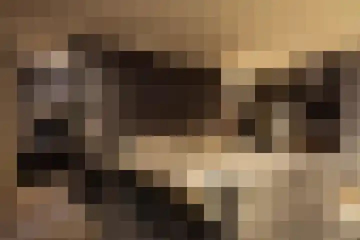 Baan 58 N Rotterdam thumbnail 10
