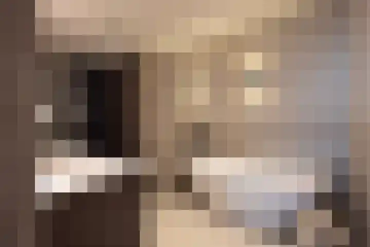 Baan 58 N Rotterdam thumbnail 17