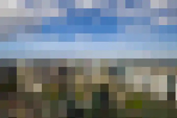 Baan 58 N Rotterdam thumbnail 23