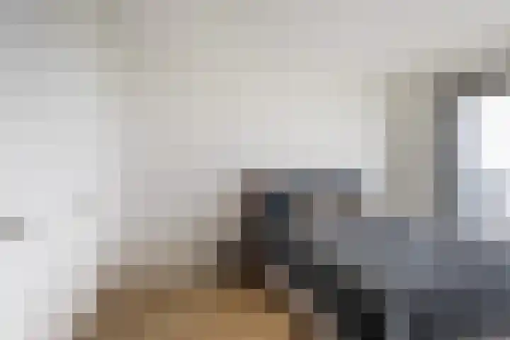 Baan 60 N Rotterdam thumbnail 28