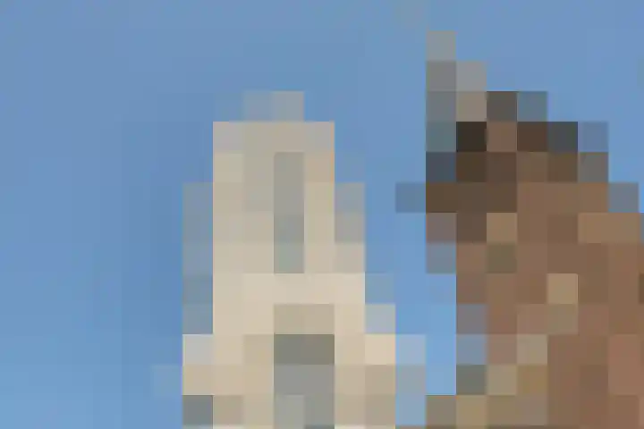 Baan 60 N Rotterdam thumbnail 4