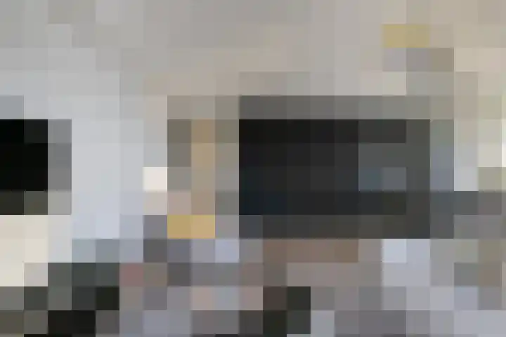 Baan 60 W Rotterdam thumbnail 15