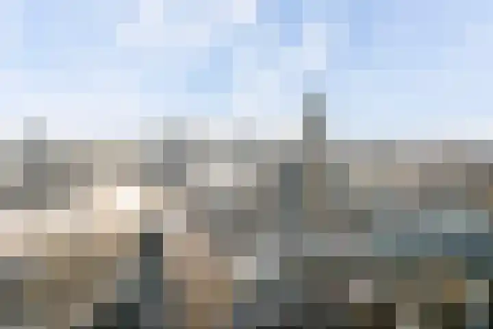 Baan 60 W Rotterdam thumbnail 32