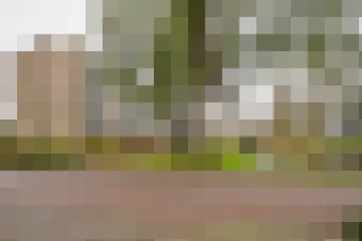 Baan 60 W Rotterdam thumbnail 39