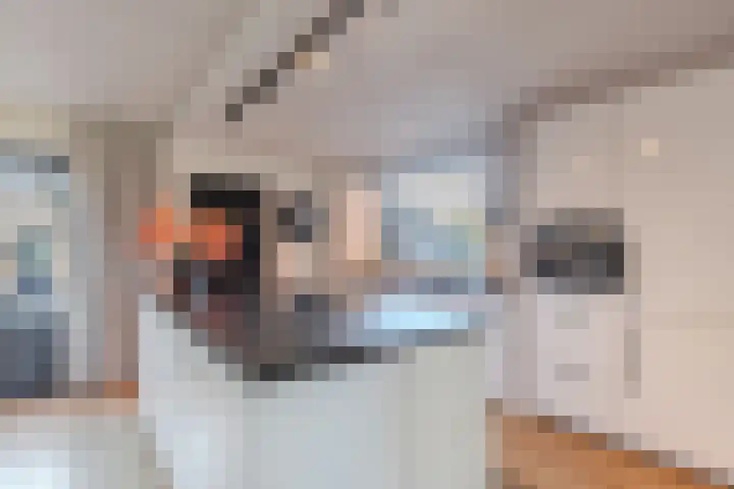 Baan 61 Ens foto 3