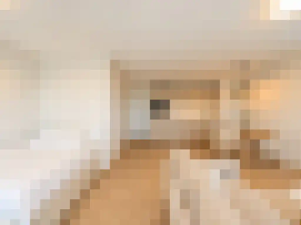 Baan Rotterdam thumbnail 4