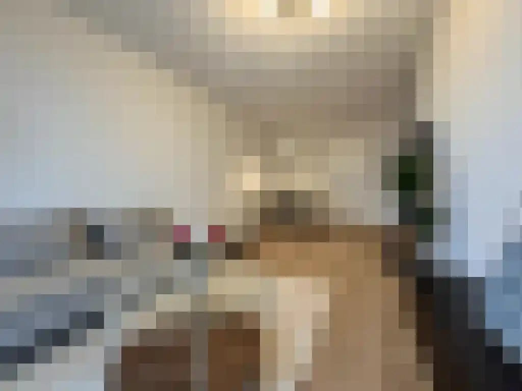 Baan Rotterdam thumbnail 4