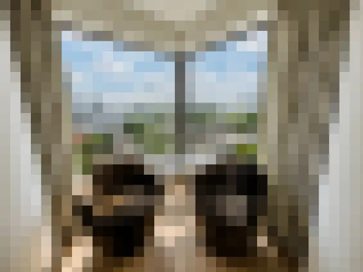Baan Rotterdam thumbnail 5