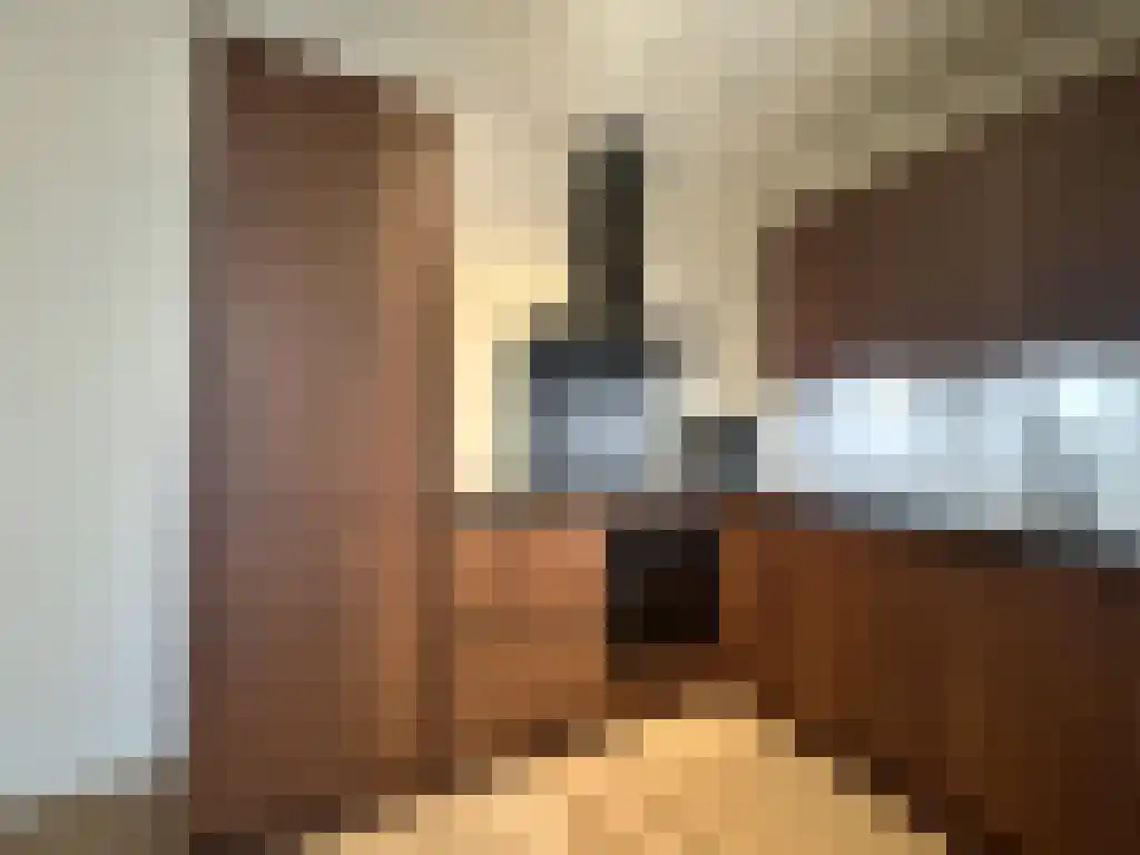Baan Rotterdam thumbnail 5