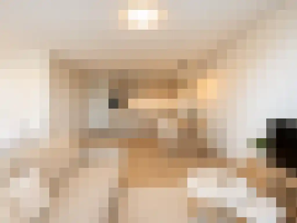Baan Rotterdam thumbnail 5