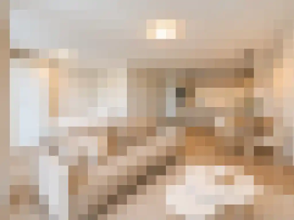 Baan Rotterdam thumbnail 6