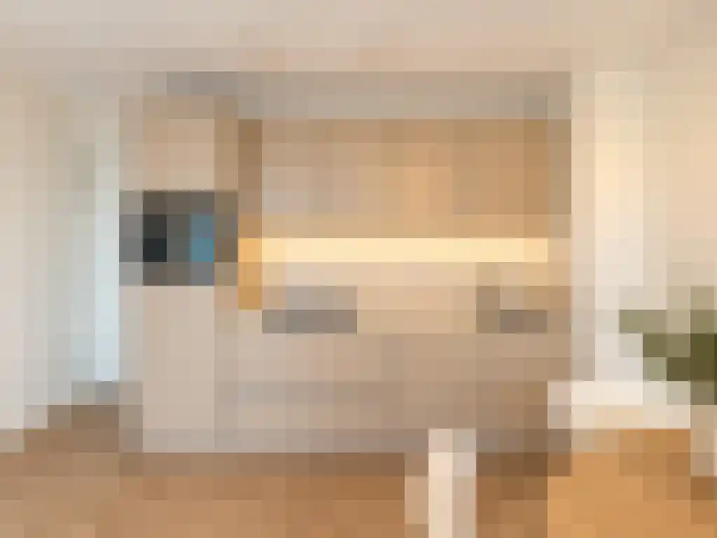 Baan Rotterdam thumbnail 7