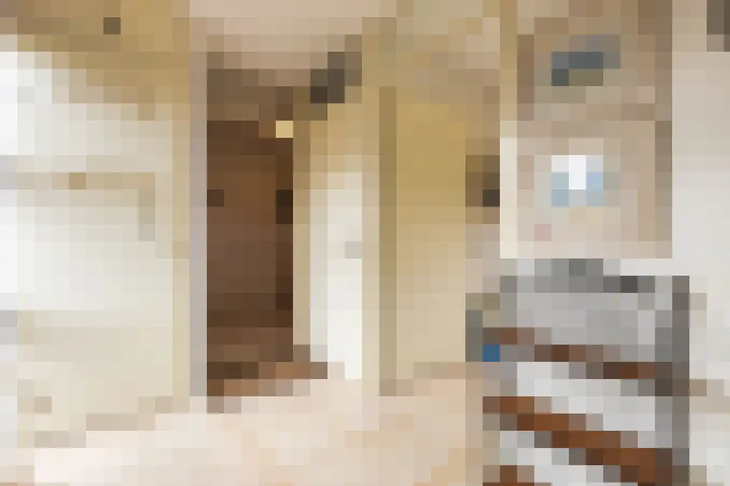 Baan van Ravenhorst 2 Bergen aan Zee thumbnail 10