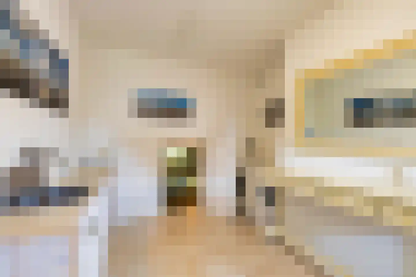 Baan van Ravenhorst 2 Bergen aan Zee thumbnail 11