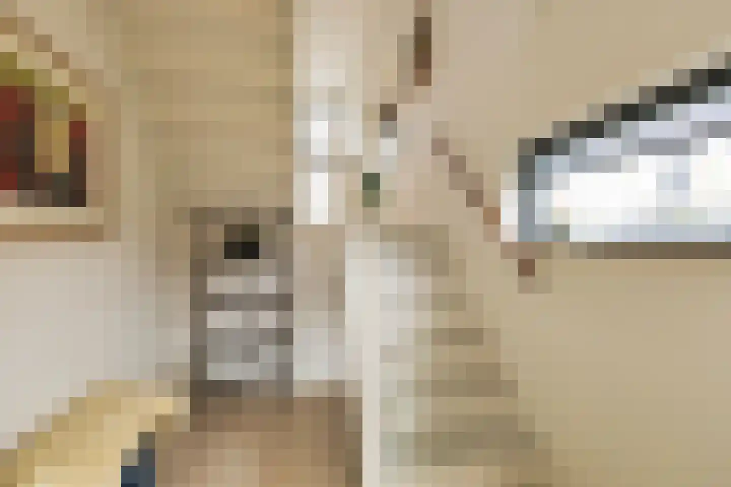 Baan van Ravenhorst 2 Bergen aan Zee thumbnail 16