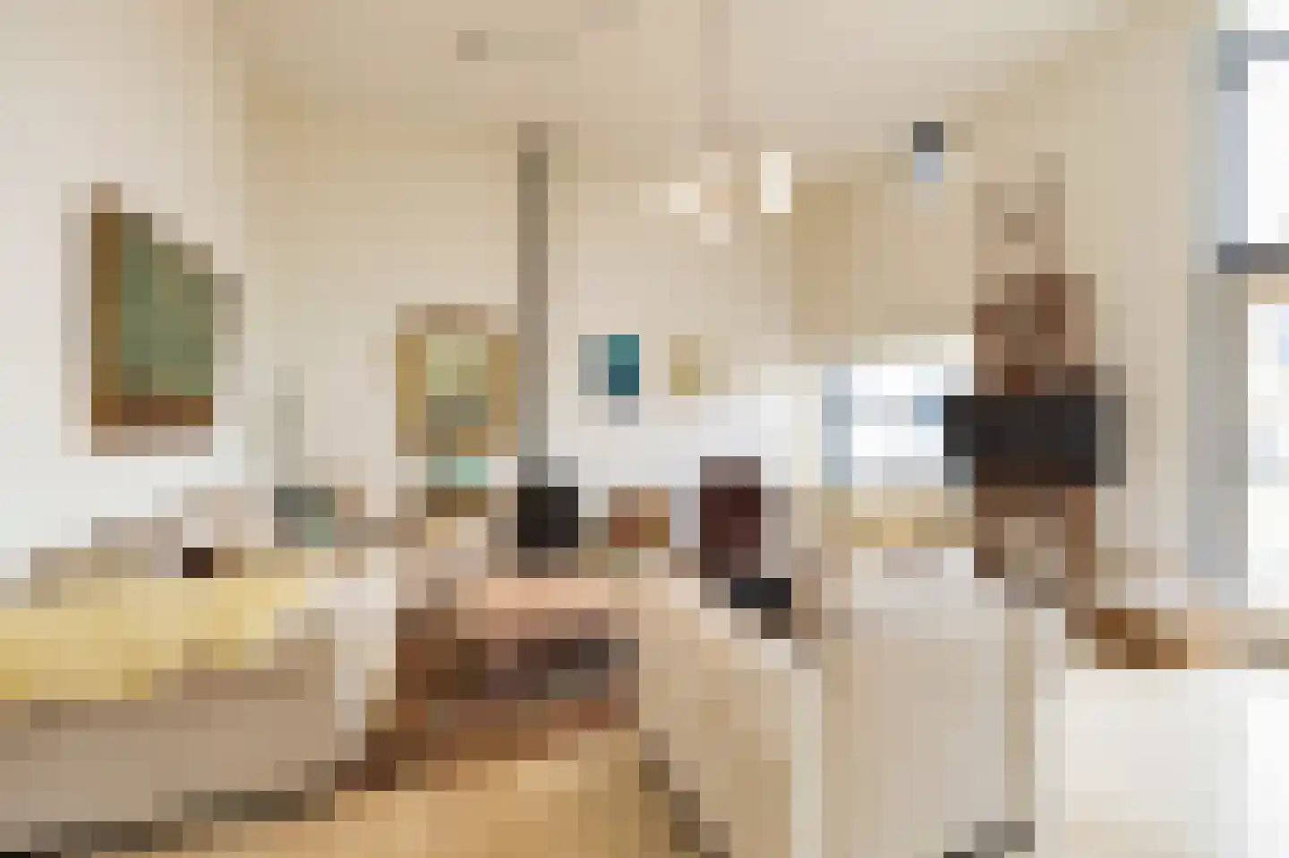 Baan van Ravenhorst 2 Bergen aan Zee thumbnail 17