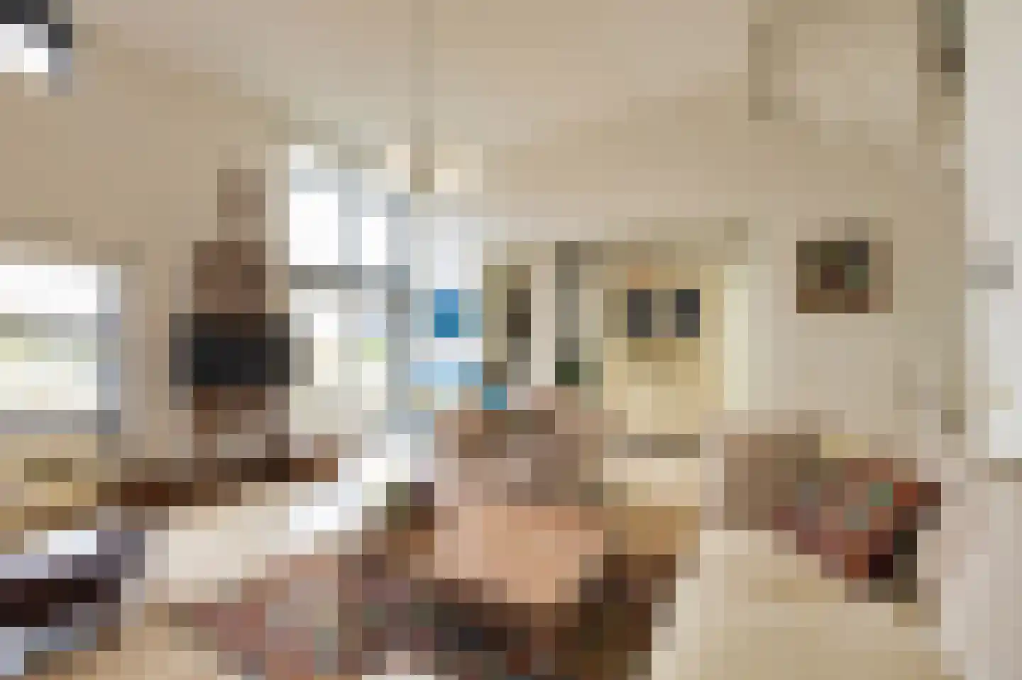 Baan van Ravenhorst 2 Bergen aan Zee thumbnail 18