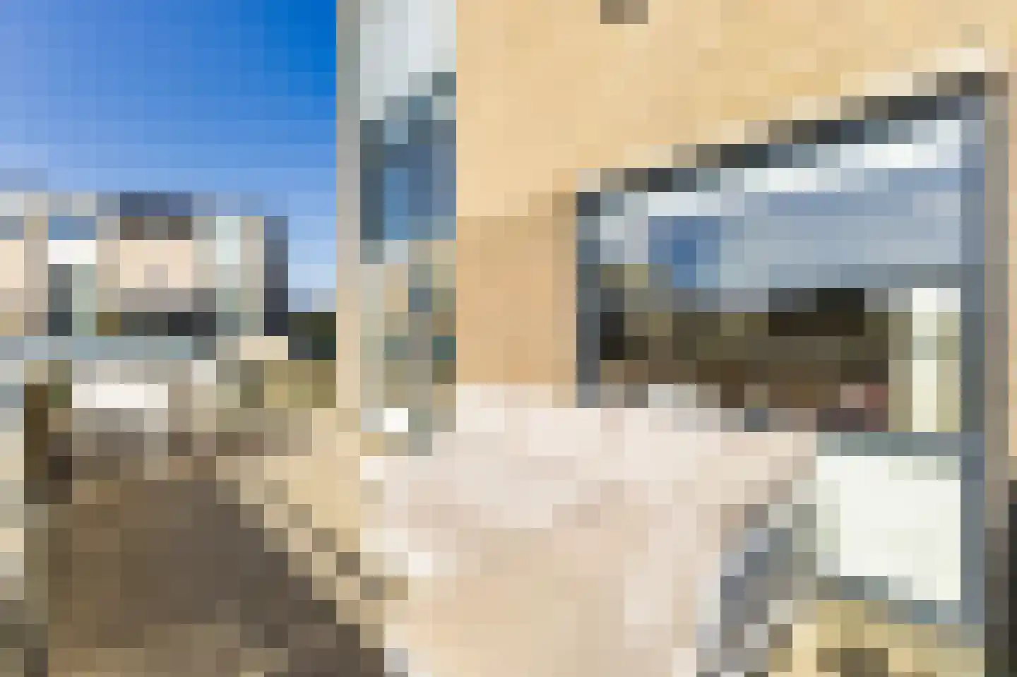 Baan van Ravenhorst 2 Bergen aan Zee thumbnail 20