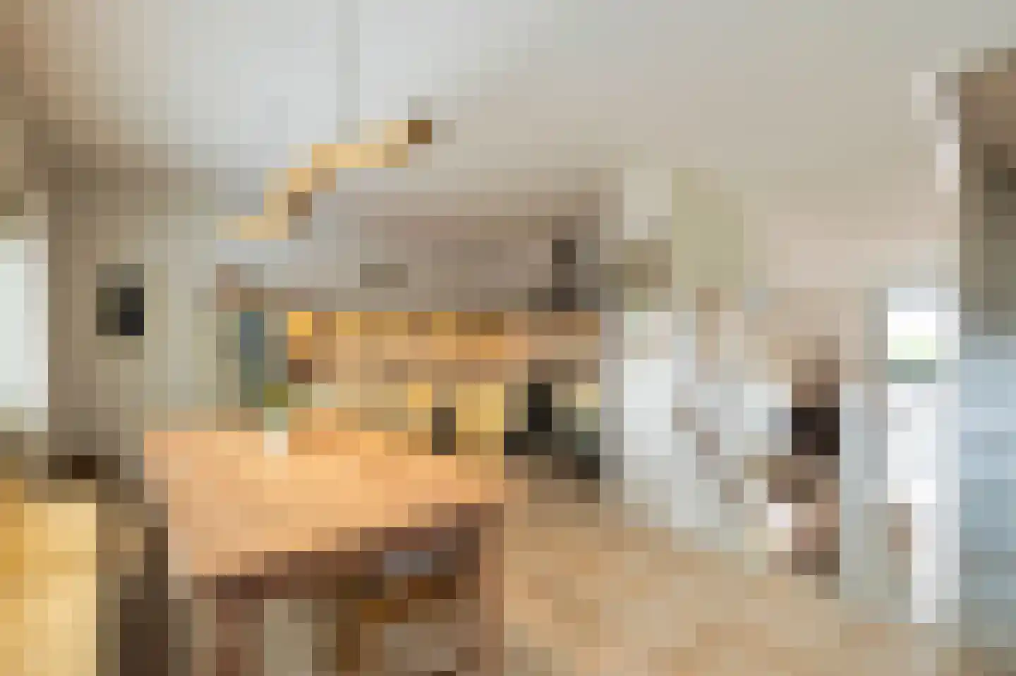 Baan van Ravenhorst 2 Bergen aan Zee thumbnail 23