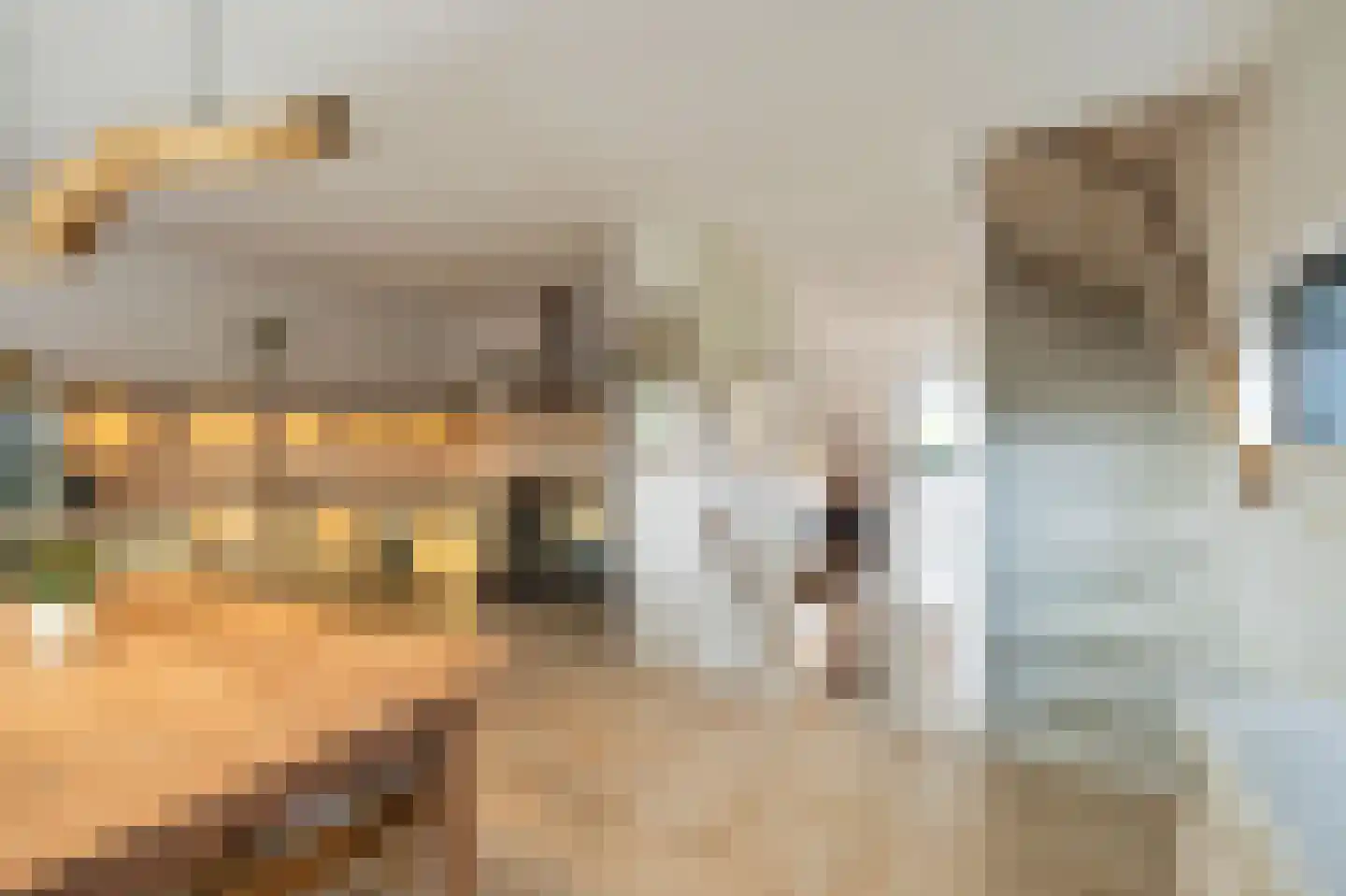 Baan van Ravenhorst 2 Bergen aan Zee thumbnail 26