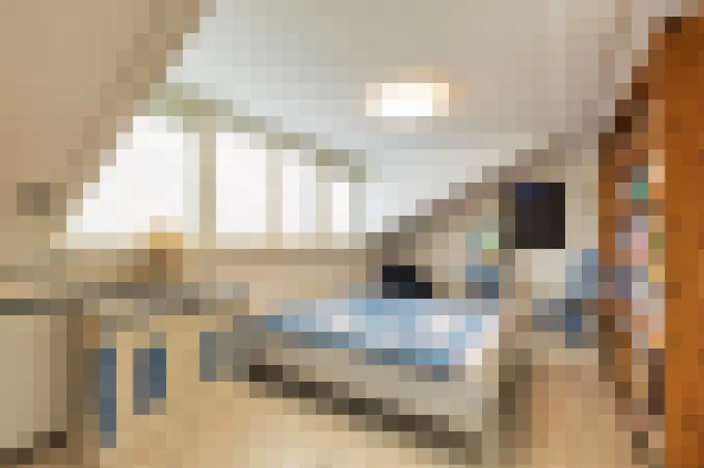 Baan van Ravenhorst 2 Bergen aan Zee thumbnail 28