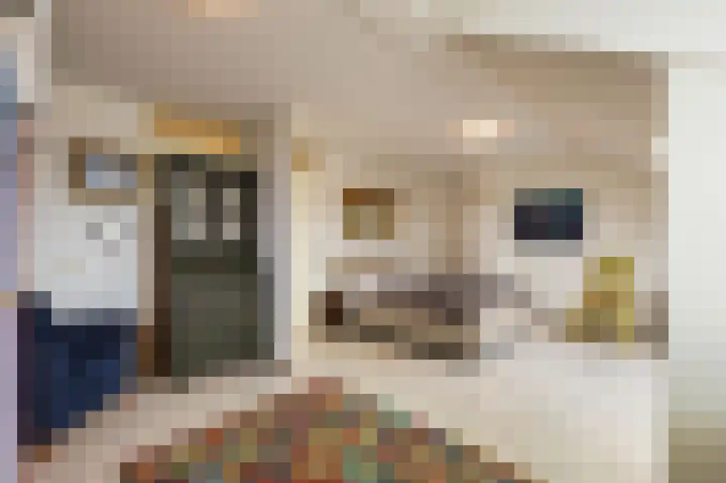 Baan van Ravenhorst 2 Bergen aan Zee thumbnail 37