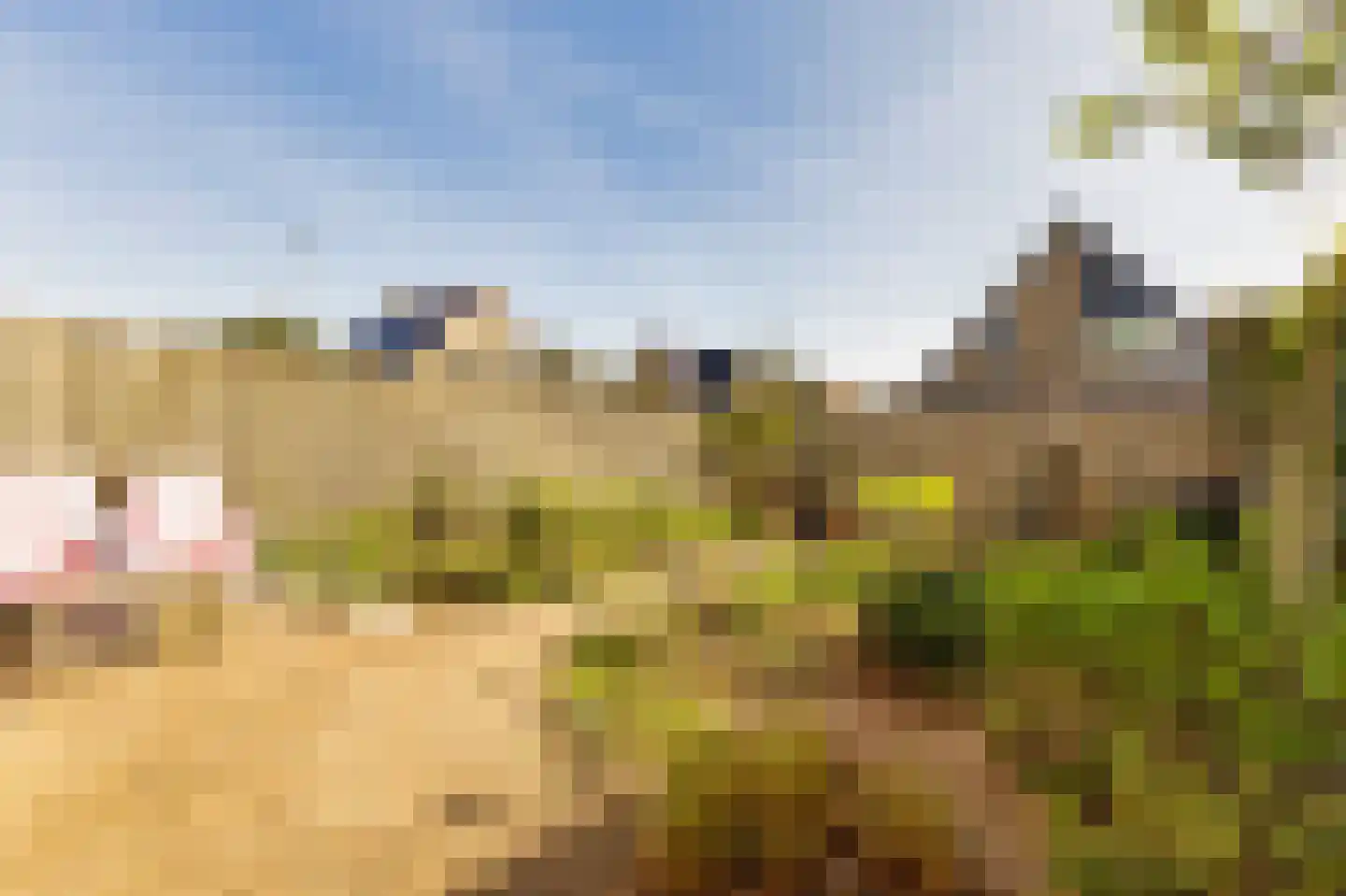 Baan van Ravenhorst 2 Bergen aan Zee thumbnail 7