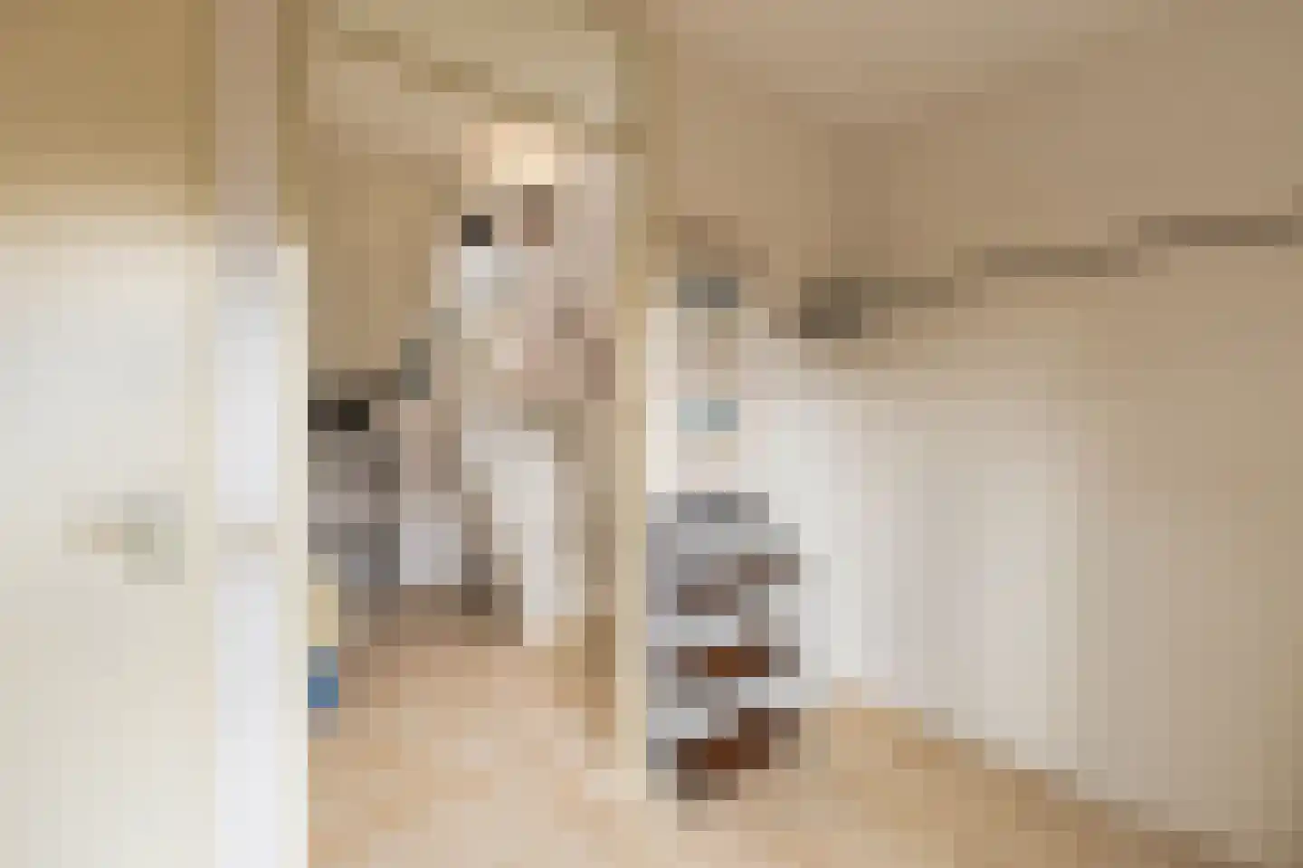 Baan van Ravenhorst 2 Bergen aan Zee thumbnail 9