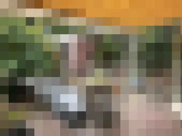 Baanbergenweg 23 Huizen thumbnail 19
