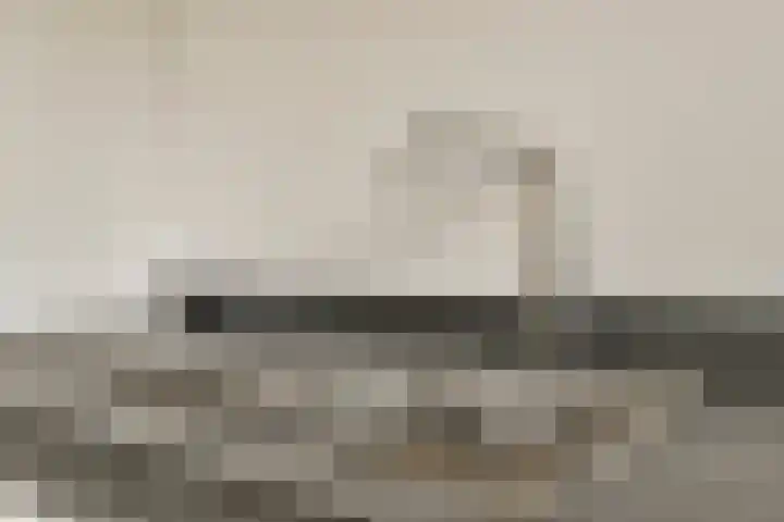 Baanbergenweg 40 Huizen thumbnail 12