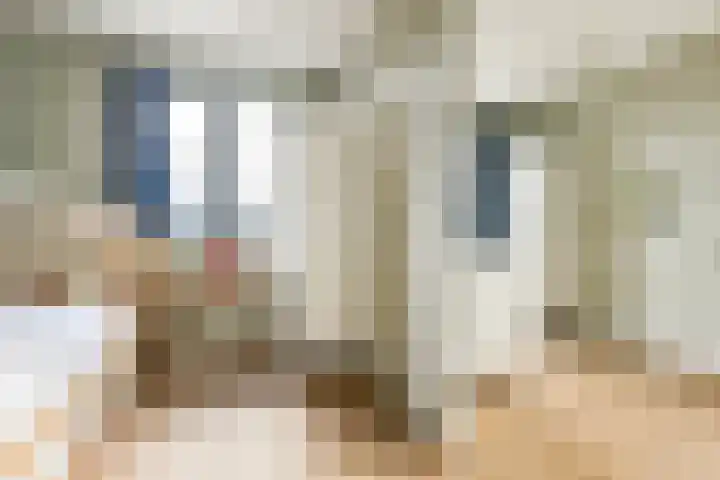 Baanbergenweg 40 Huizen thumbnail 31
