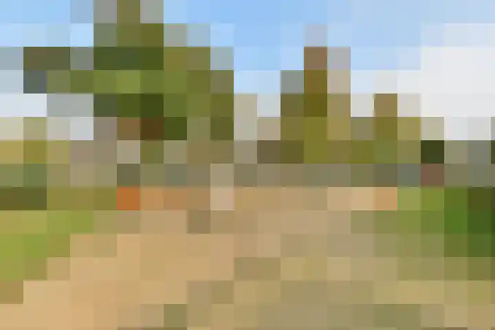 Baanbergenweg 40 Huizen thumbnail 40