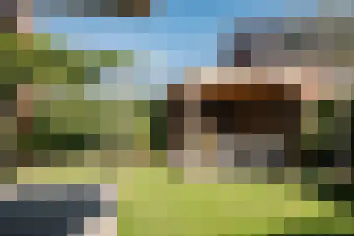 Baanbergenweg 42 h Huizen thumbnail 32