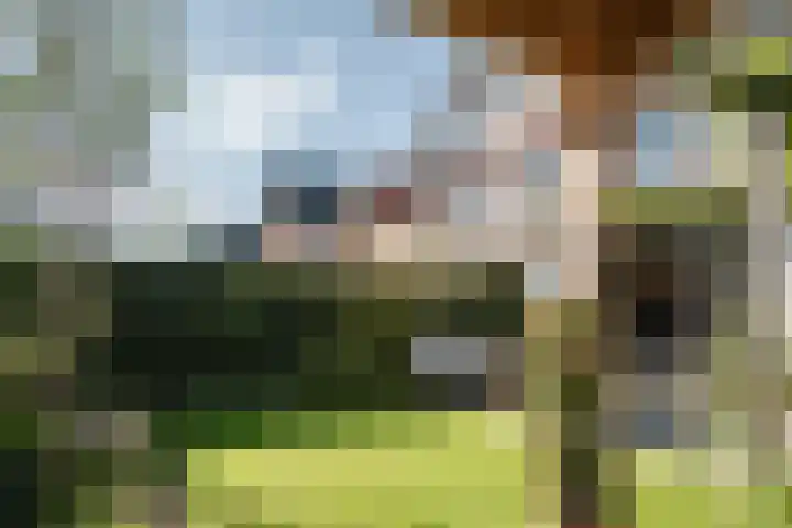 Baanbergenweg 42 h Huizen thumbnail 34