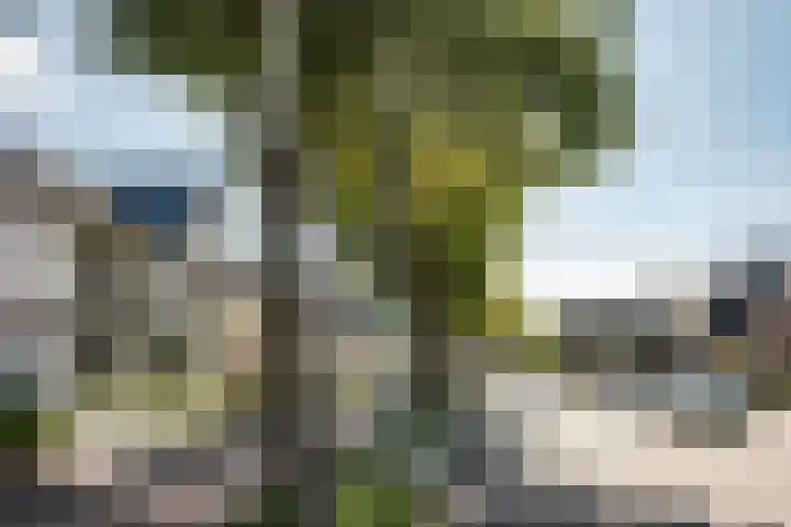 Baanbergenweg 42 h Huizen thumbnail 36