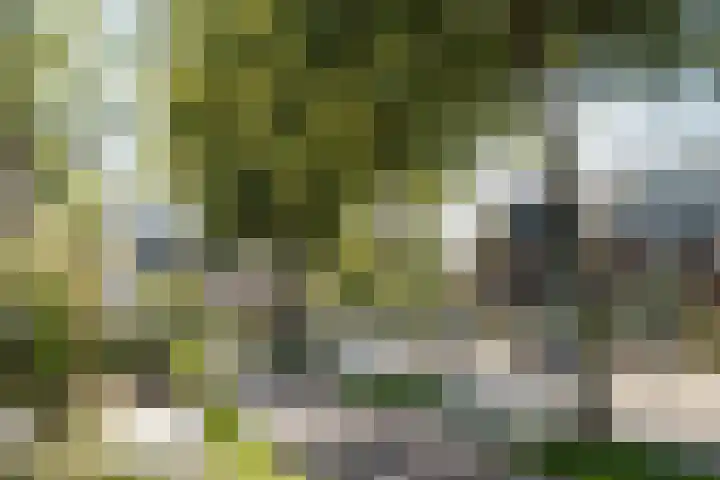 Baanbergenweg 42 h Huizen thumbnail 37