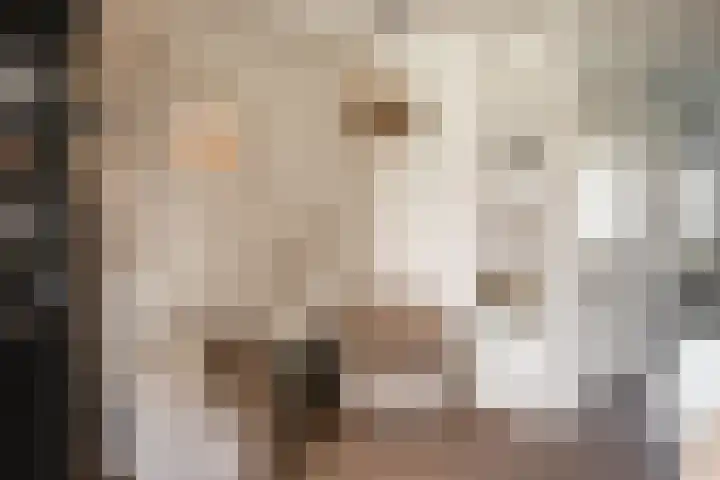 Baanbergenweg 42 h Huizen thumbnail 8